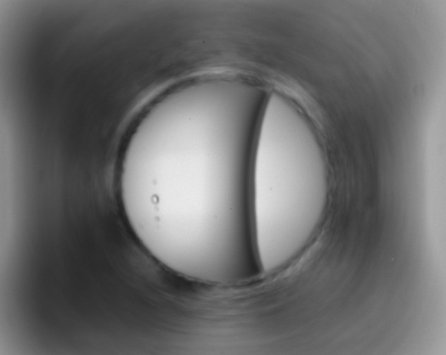 X0000097001216200802081021