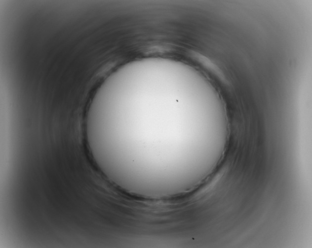 X0000097001217200802081021
