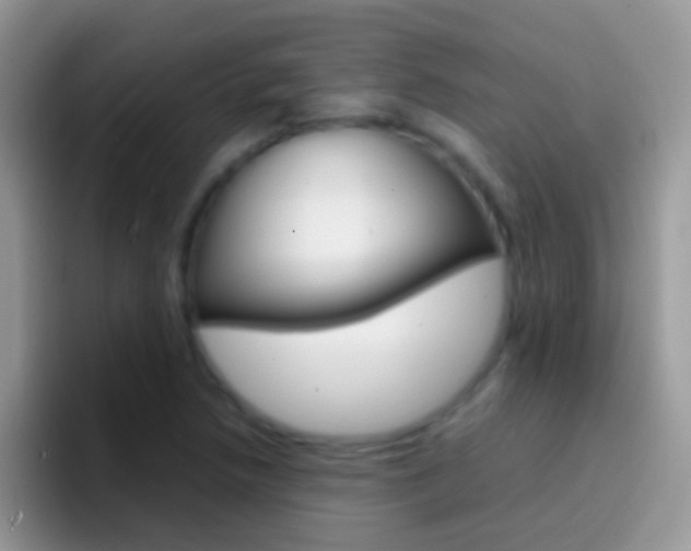 X0000097001218200802081021