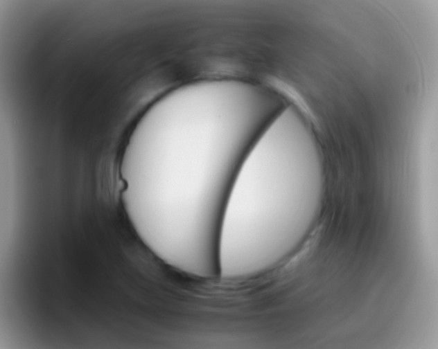 X0000097001219200802081021