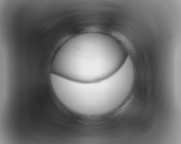 X0000097001225200802081021