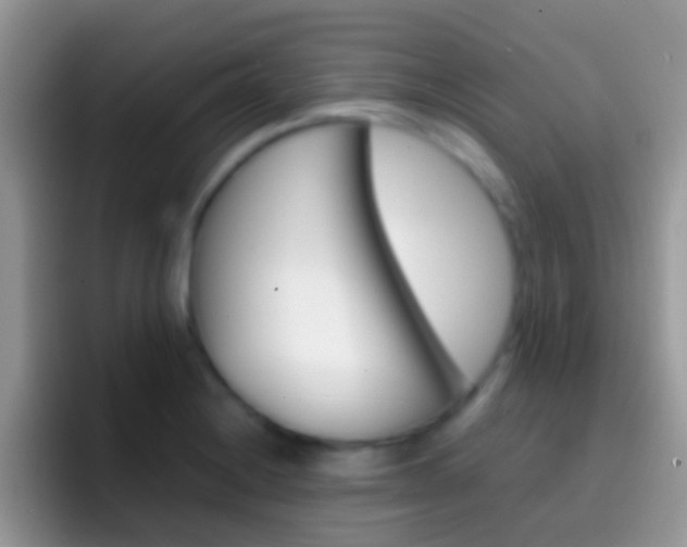 X0000097001228200802081021