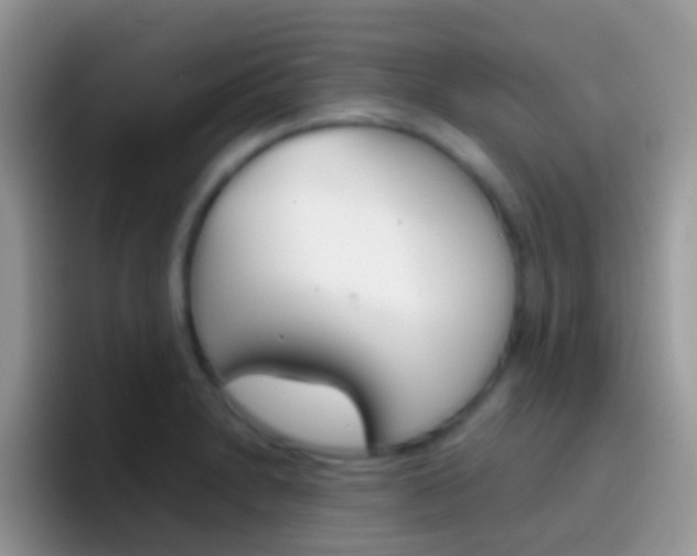 X0000097001230200802081021