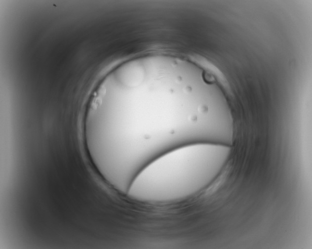 X0000097001231200802081021