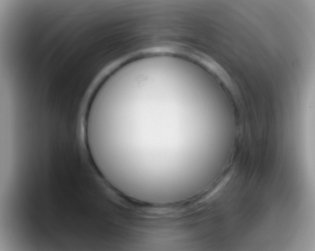 X0000097001232200802081022