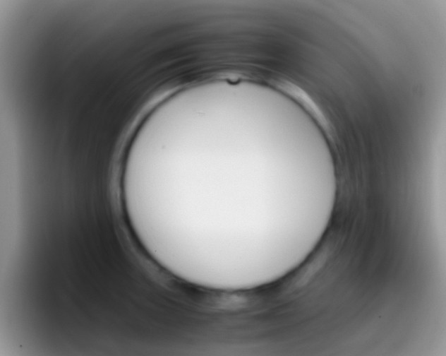X0000097001235200802081022