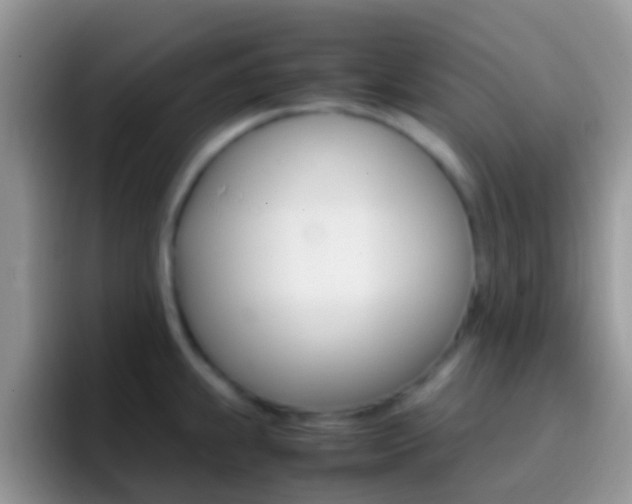 X0000097001239200802081022