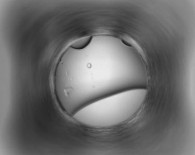 X0000097001243200802081022