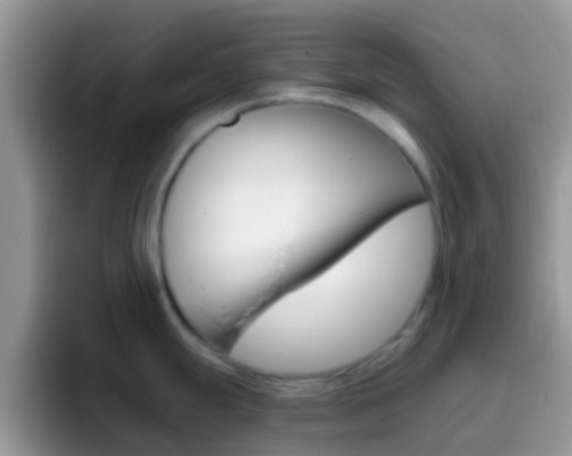 X0000097001247200802081022