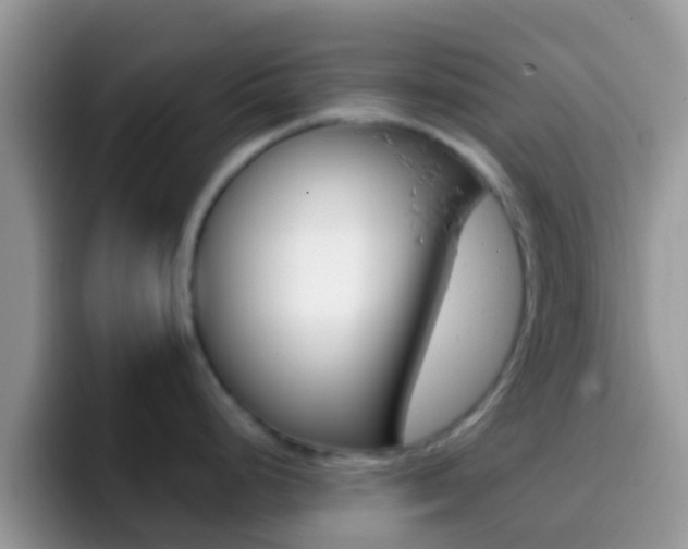 X0000097001248200802081022