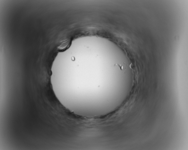 X0000097001253200802081021