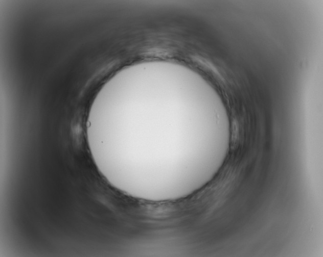 X0000097001254200802081021