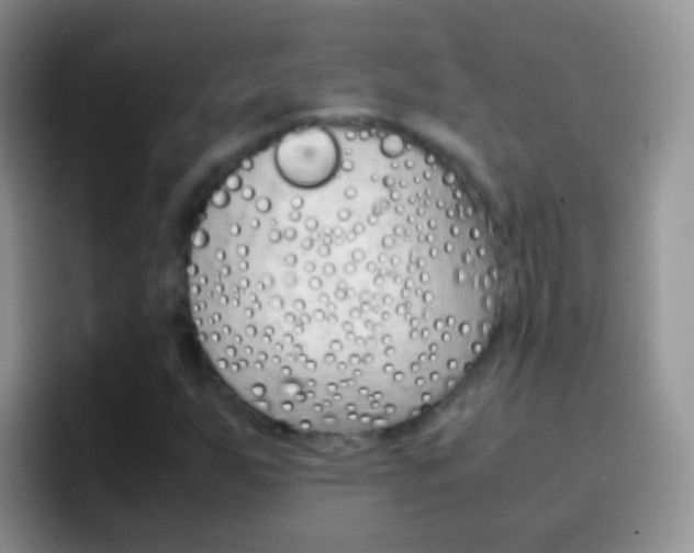 X0000097001255200802081021