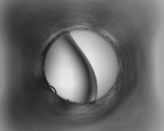 X0000097001256200802081021
