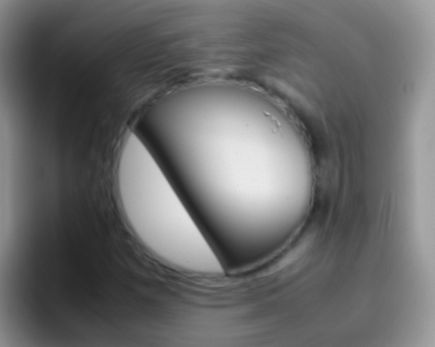 X0000097001257200802081021