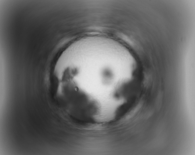 X0000097001259200802081021