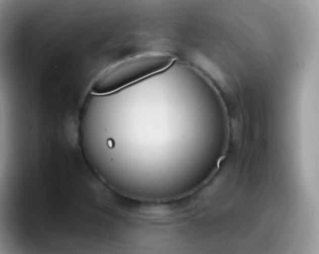 X0000097001260200802081021