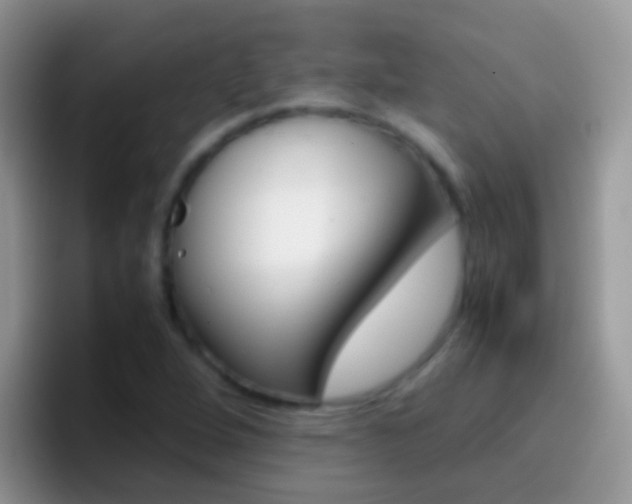 X0000097001264200802081021