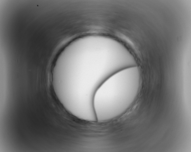 X0000097001267200802081021