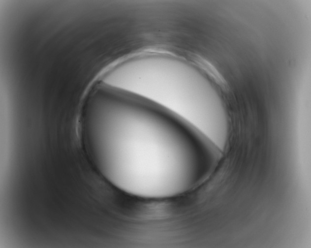 X0000097001268200802081021