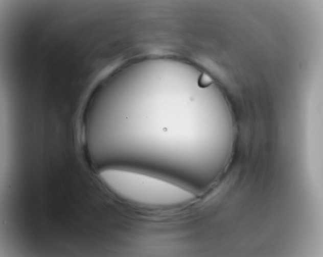 X0000097001269200802081021