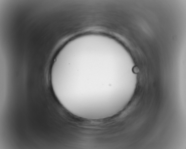 X0000097001271200802081021