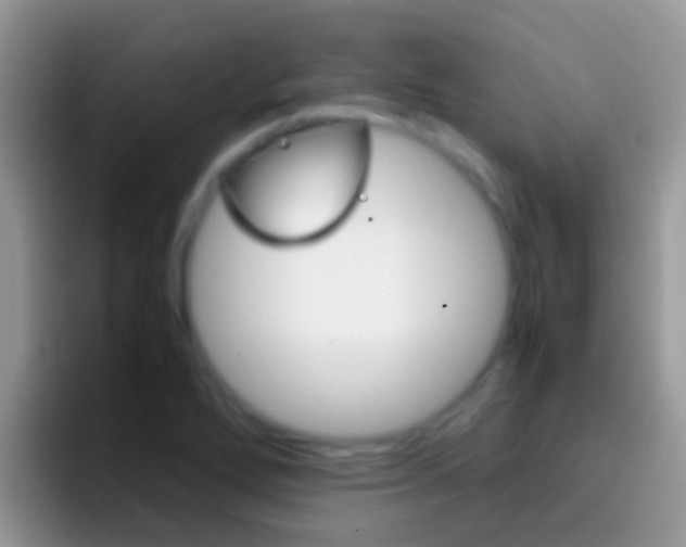 X0000097001272200802081021