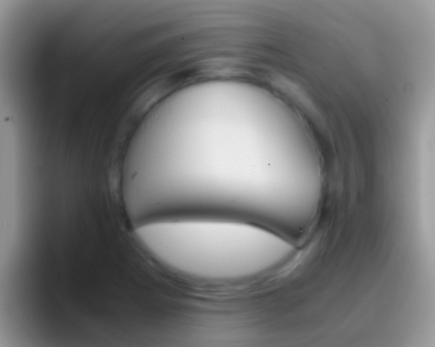 X0000097001273200802081021