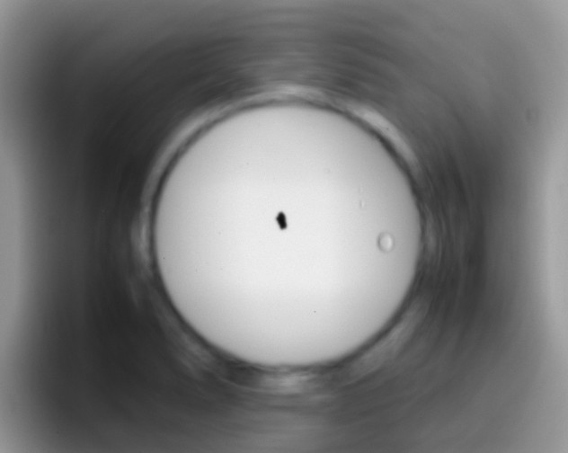 X0000097001278200802081021