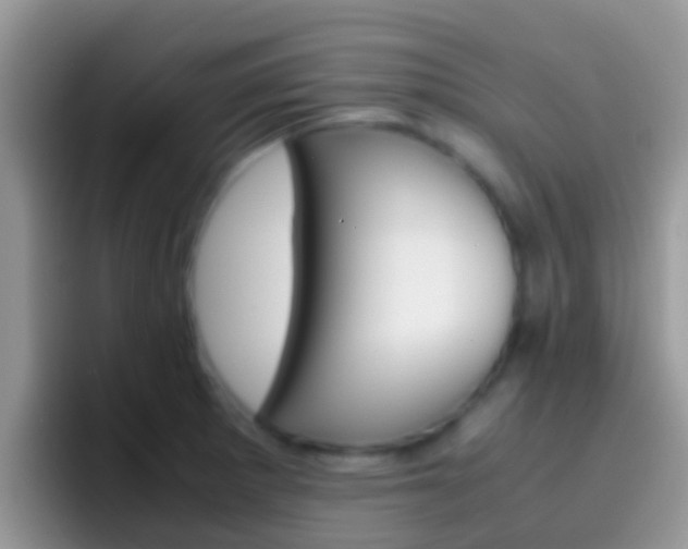 X0000097001281200802081021