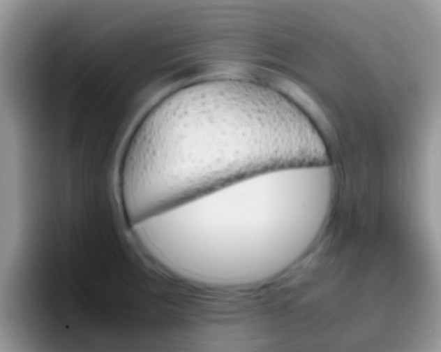 X0000097001283200802081021