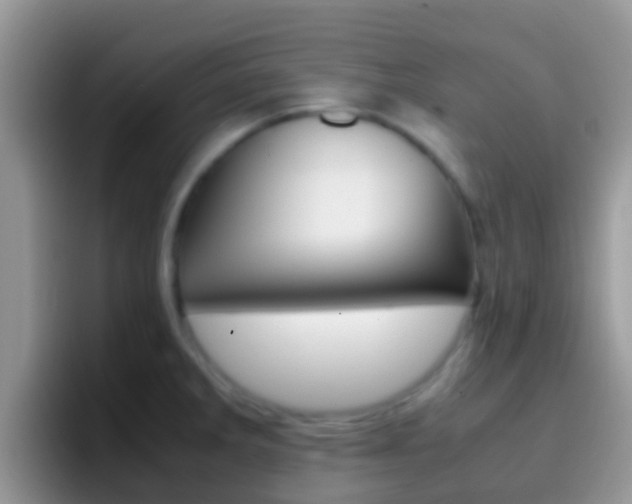 X0000097001285200802081021