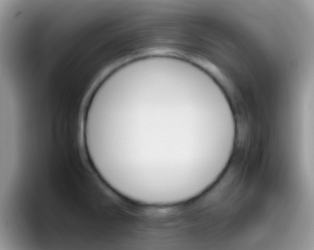 X0000097001286200802081021