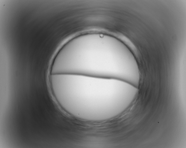 X0000097001287200802081021