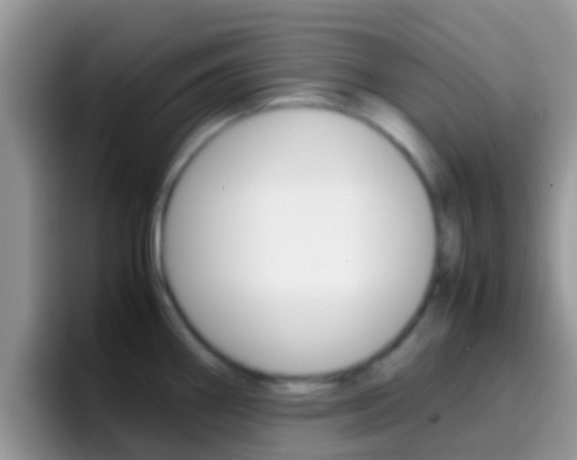 X0000097001290200802081021