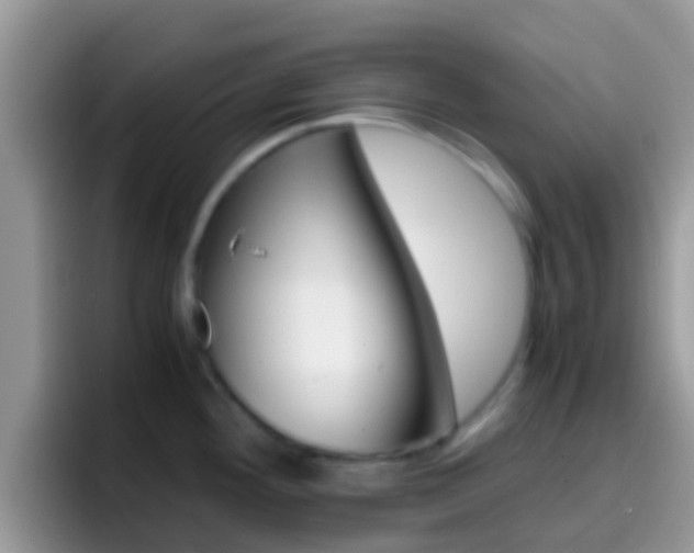 X0000097001292200802081021