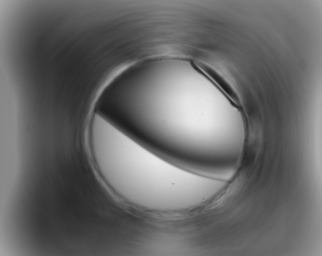X0000097001293200802081021
