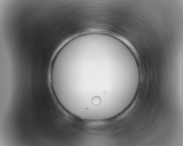 X0000097001294200802081021
