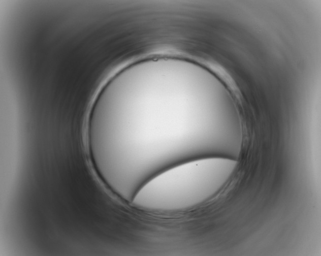 X0000097001295200802081020