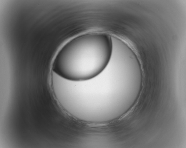 X0000097001296200802081020