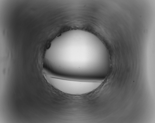X0000097001297200802081020