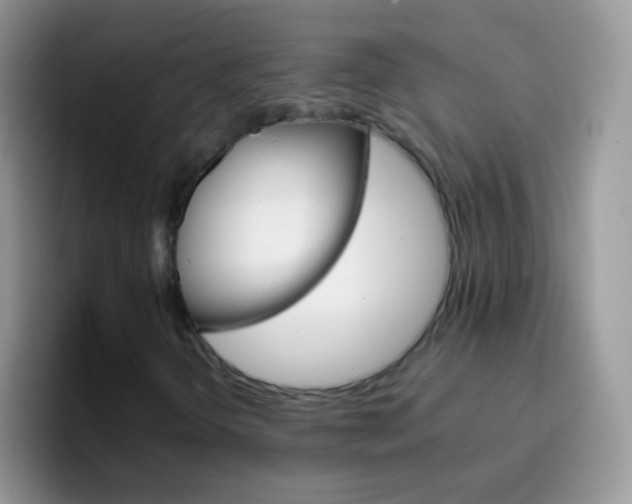 X0000097001298200802081020