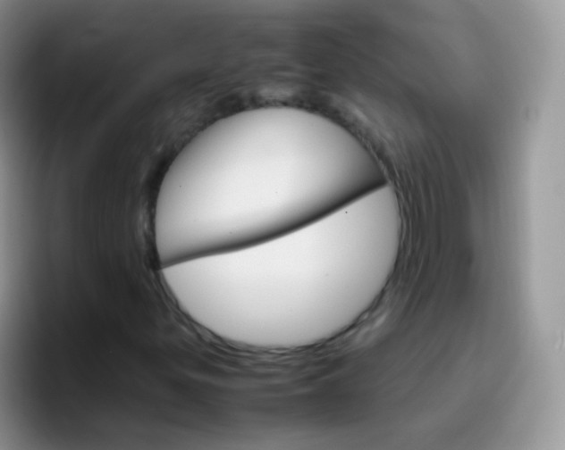 X0000097001299200802081020