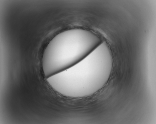 X0000097001303200802081020