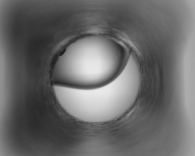 X0000097001304200802081020
