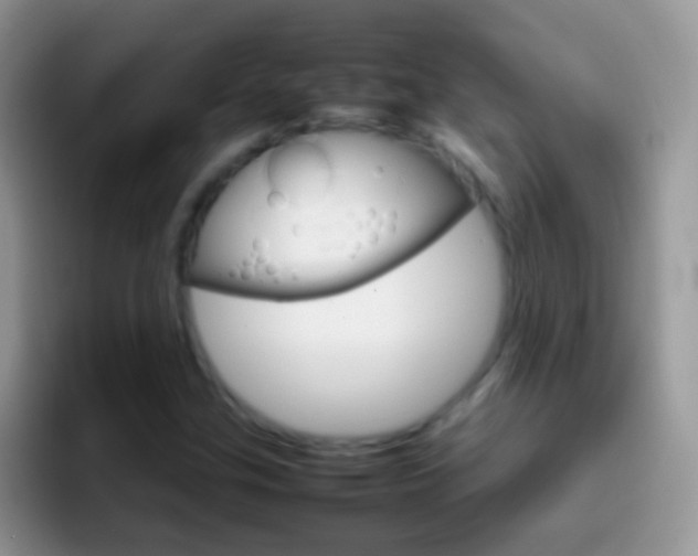 X0000097001307200802081020