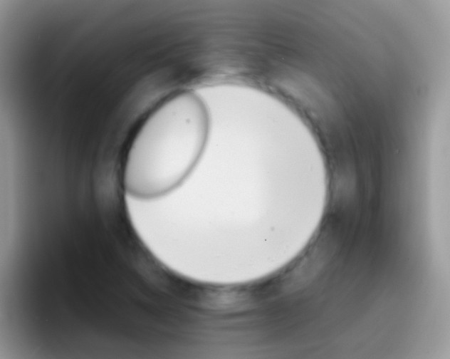 X0000097001314200802081020