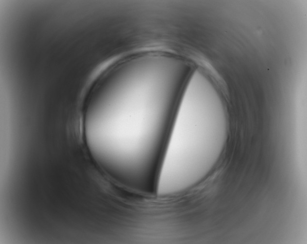 X0000097001320200802081020