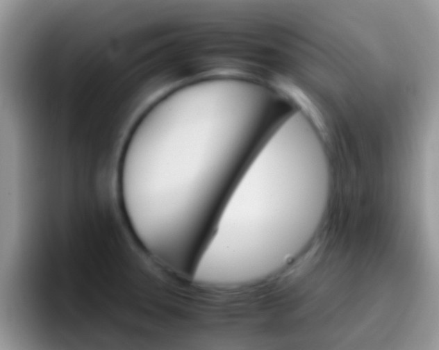 X0000097001331200802081020
