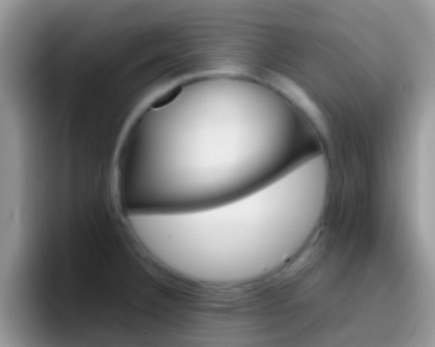 X0000097001332200802081020